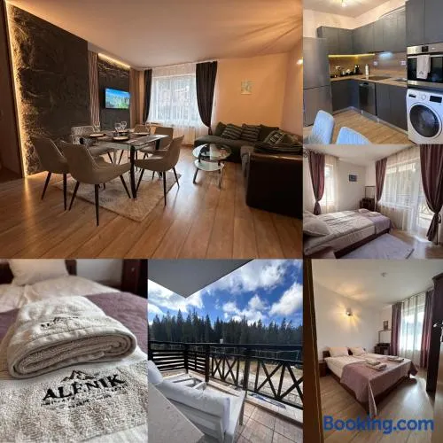 Alenik Private Apartment -Pamporovo - Image 1