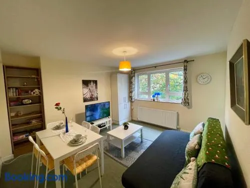 Stunning Flat Close to Regents Park and Euston Station! - Image 1