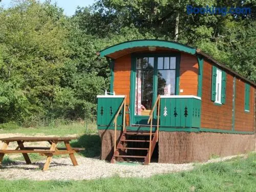 Roulotte cosy avec tout confort au cœur du Val de Loire, idéale pour découvrir les châteaux et la Sologne - Image 1