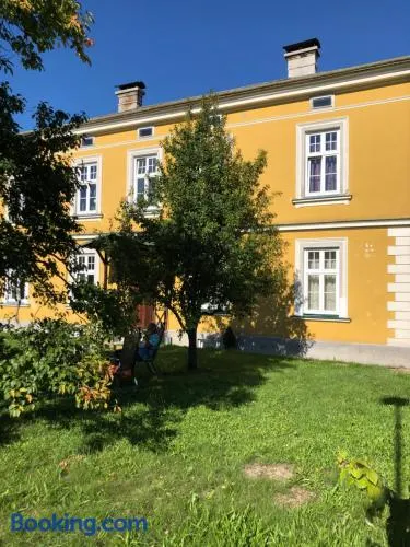 Löwenzahn - Image 1