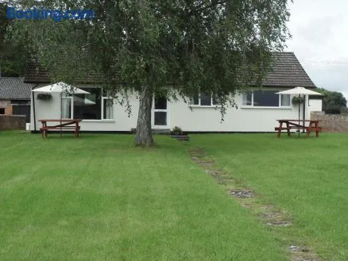 Bungalow in lovely setting.Ten minutes to Longleat - Image 1