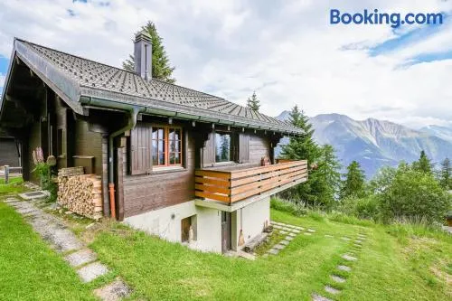 Chalet Lieke Apartment - Image 1
