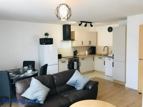 Spacious 2-Bed Flat in Homerton House - Image 1