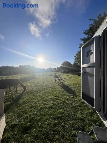 Sleep with Alpacas I Glamping Retreat in National Park Thy - Image 1