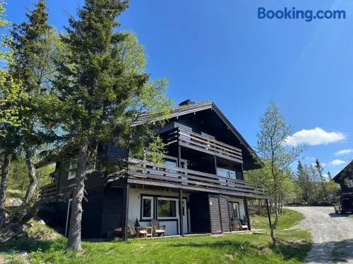 SKI INN/OUT - 4-room apartment w/3 bedroom - Image 1