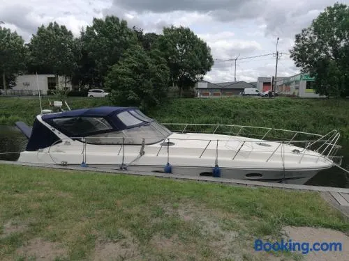 Motoryacht ELENA - Image 1