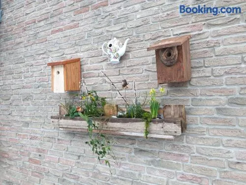 Ferienwohnung Vogelvilla - Image 1