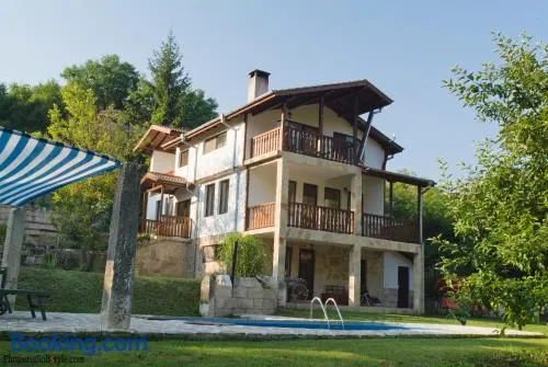Neda's House - Image 1