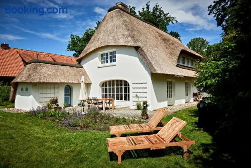 Reetdach-Villa mit Blick in die Natur - 160m² Entspannung pur - Image 1