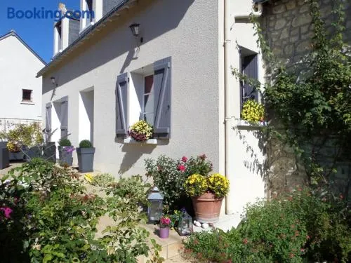 Gîte Moderne 10 Pers. en Touraine avec Jardin, WiFi, Près de la Vienne et Vignobles de Chinon - FR-1-381-395 - Image 1