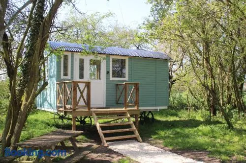 The Woodpecker shepherd hut - Image 1