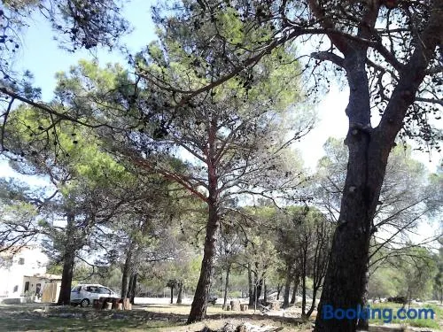 Eco Secluded apartments Zabodarski - Image 1