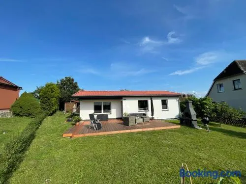 Bungalow am Wreecher See - Image 1