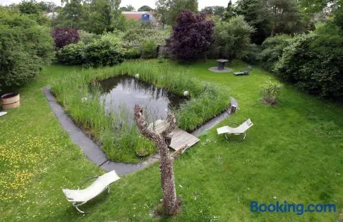 Ferienwohnung am Schwimmteich - Image 1