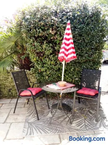 Petit Studio - Image 1