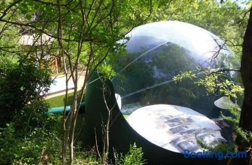 Domaine de l'Insolite - Image 1