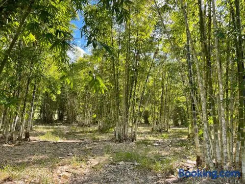 GSM Bamboo Farm RV and Caravan site - Image 1