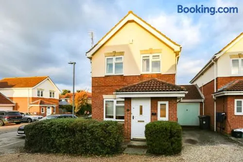 Comfortable 3 bed house in Chelmsford - Image 1