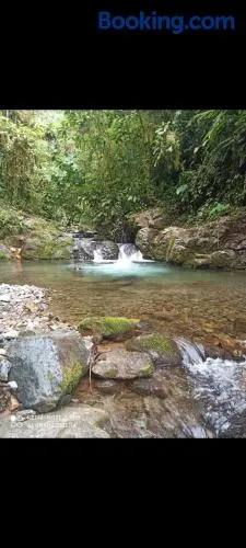 La Granja del Abuelo cabañas con jacuzzi en medio del la naturaleza - Image 1