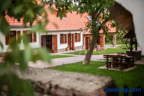 Oszter-ház Kékkút - Image 1