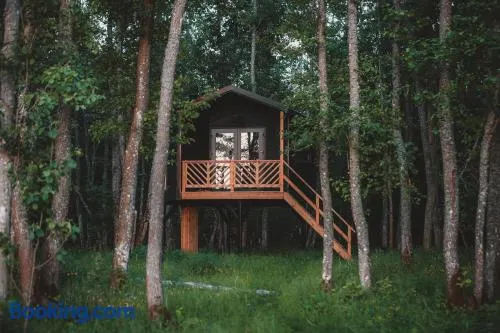 Hekso treehouse - Image 1
