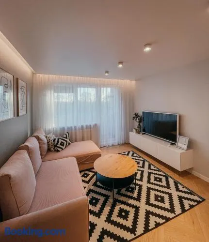 Vytautas Park Apartment with FREE Parking - Image 1