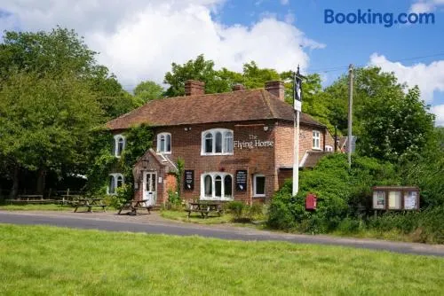 The Flying Horse Inn - Image 1