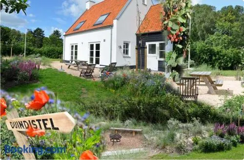 DE DUINDISTEL Bed by the Sea - Image 1