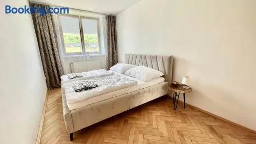 Apartmán Deštné v Orlických horách 58 - Image 1