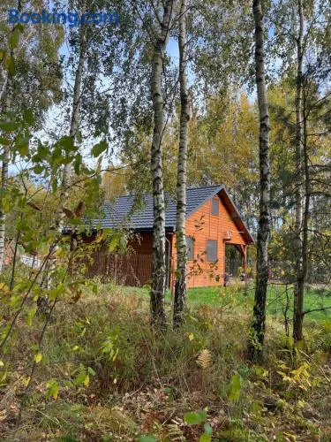 DOMEK LETNISKOWY POD BRZOZAMI na Roztoczu wśród lasów, Zamość, Krasnobród, Zwierzyniec - Image 1
