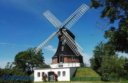 Windmühle Catharina - Image 1