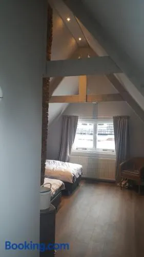 Het Zwanennest - Image 1