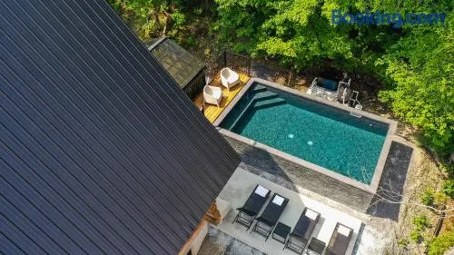 The ANIMAL - PARTY TIME - POOL SPA AND MOUNTAIN - Image 1
