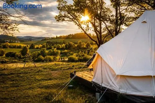 Glamping Hive - Image 1
