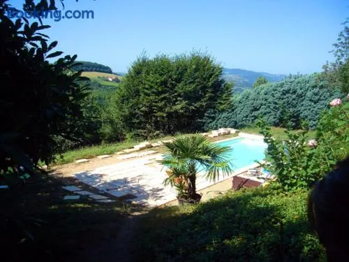 Cadre paradisiaque - Image 1