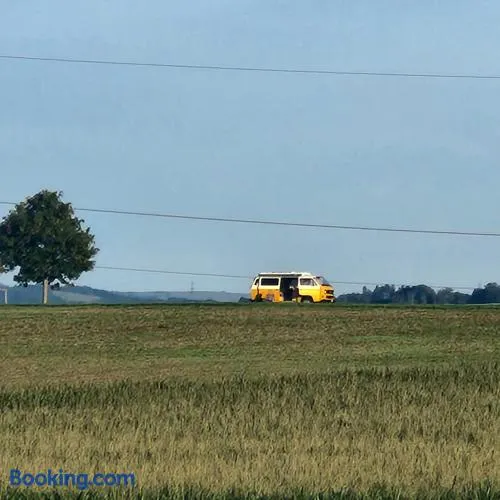 Blues farm - Image 1