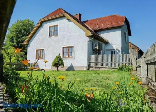 Landhaus auf der Alm - Image 1