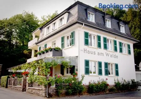 Pension "Haus am Walde" Brodenbach, Mosel - Image 1