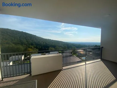 Unin Apartman, Kosmaj, Rogača - Image 1