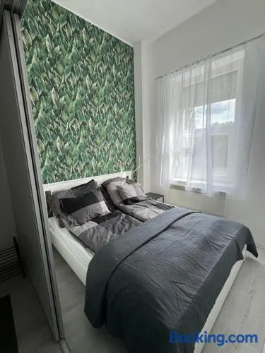 Arion Apartman - Image 1