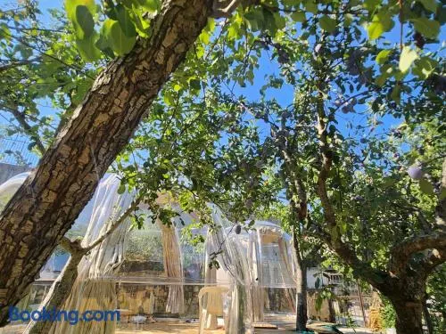 Domus Olea B&B Eco Bio House Igloo - Image 1