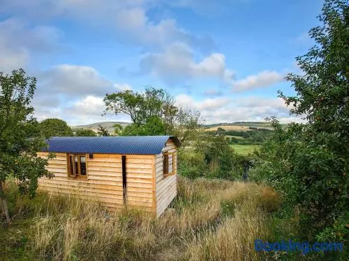 Woodpecker Hill - Shepherds Hut Alfriston - Image 1