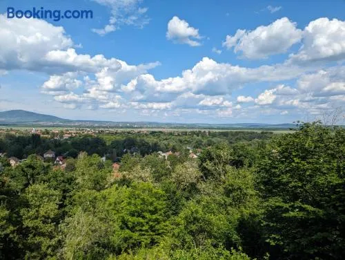 Dunai Panoráma Kisház - Image 1