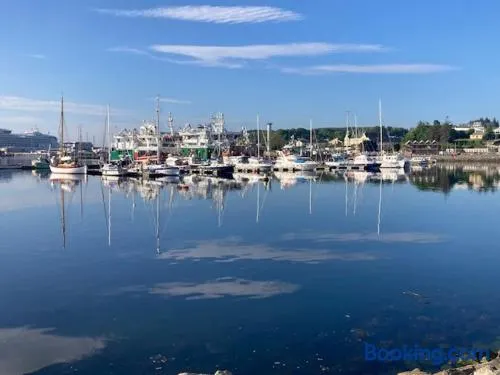 Harbour View - Image 1