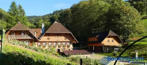 Blumenwiese - Image 1