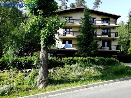 NIEZAPOMINAJKA - Image 1