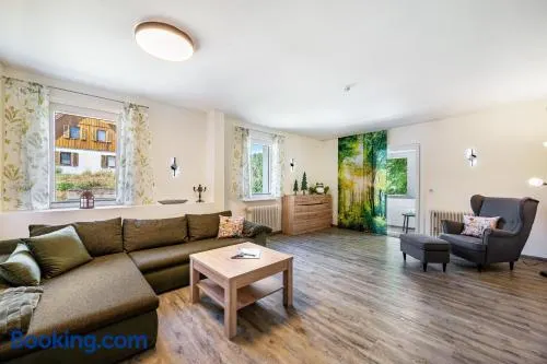 Ferienwohnung zum Schwarzwaldfrosch - Image 1