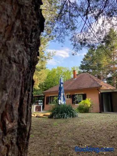Šumska kuća Juga Kovačević - Image 1