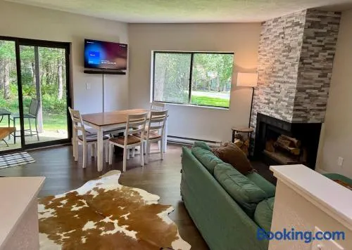 Contemporary Ski Condo - Image 1