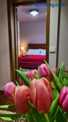 Zi Bitta - guest house - Image 1